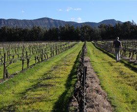 Around Hermitage Wine And Food Trail Hunter Valley - Accommodation Noosa 1