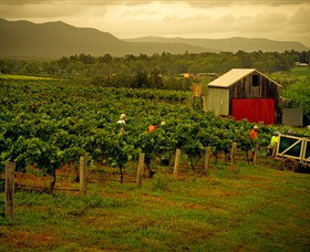 Around Hermitage Wine And Food Trail Hunter Valley - Accommodation Noosa 0