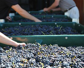 Around Hermitage Wine And Food Trail Hunter Valley - Accommodation Noosa 6