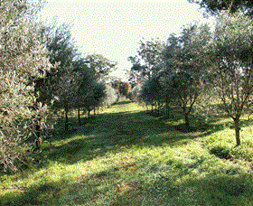 Langdale Farm - Accommodation Noosa 0