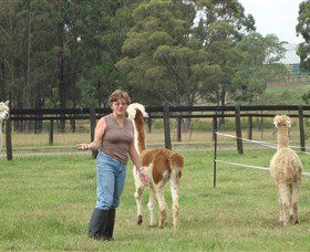 Langdale Farm - Accommodation Noosa 4