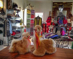 Australian Alpaca Barn - Hunter Valley Gardens - Accommodation Noosa 2