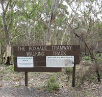 Box Vale Picnic Area - Accommodation Noosa