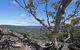 Nattai Gorge Lookout - thumb 1