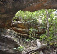 Cave Creek Walking Track - Accommodation Noosa