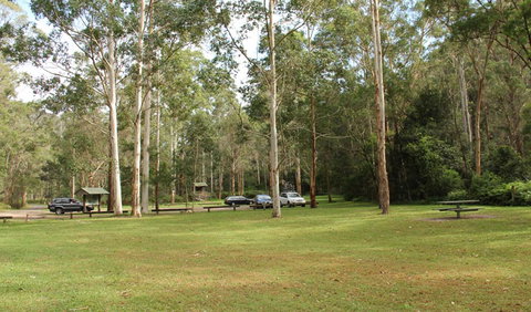 Mill Creek Picnic Area - Accommodation Noosa 0
