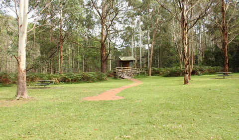Mill Creek Picnic Area - Accommodation Noosa 2