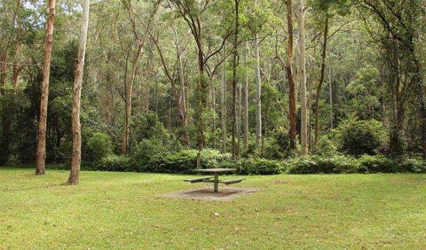 Mill Creek Picnic Area - Accommodation Noosa 1