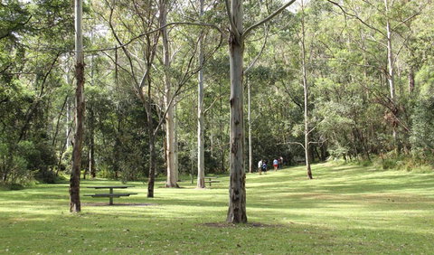 Mill Creek Picnic Area - Accommodation Noosa 3