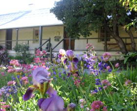 Raglan Gallery And Cultural Centre - Accommodation Noosa 0
