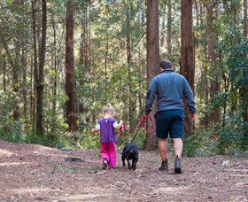 Kulnura NSW Accommodation Noosa