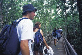 Bellthorpe National Park - Accommodation Noosa 0