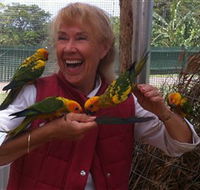 Maleny Botanic Gardens  Bird World - Accommodation Noosa