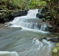 Jerusalem Creek trail - Accommodation Noosa