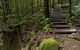 Jerusalem Creek Trail - thumb 2