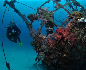 Severance Shipwreck Dive Site - Accommodation Noosa 0