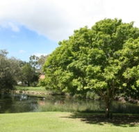 Hervey Bay Botanic Gardens - Accommodation Noosa