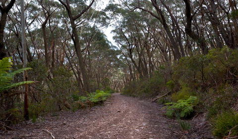 Budawang National Park - Accommodation Noosa 0