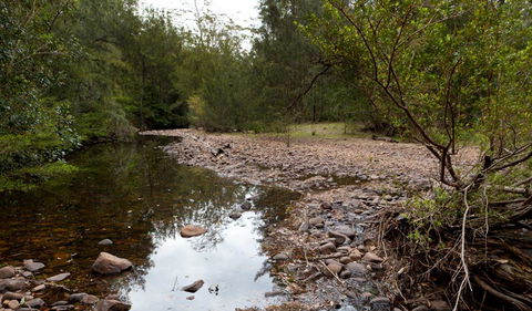 Budawang National Park - Accommodation Noosa 2