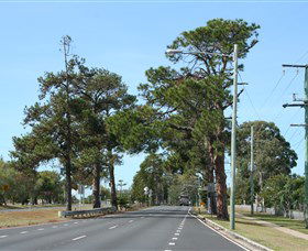 Anzac Memorial Avenue, Redcliffe - Accommodation Noosa 2
