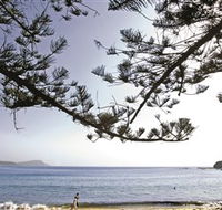 Terrigal Beach - Accommodation Noosa