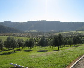 Hastings Valley Olives - Accommodation Noosa 0
