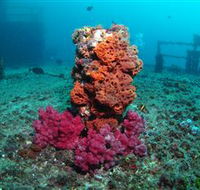 HMAS Brisbane Dive Site