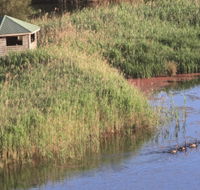 Spring Creek Bird Hide - Accommodation Noosa