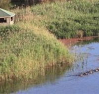Spring Creek Wetlands Walk - Accommodation Noosa