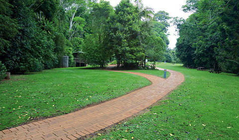The Glade Picnic Area - Accommodation Noosa 1