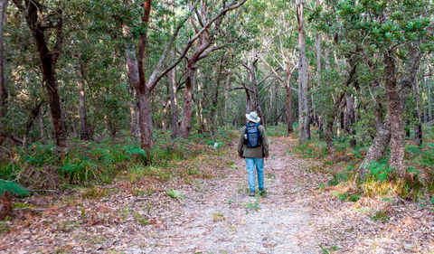Narrawallee Inlet Walking Track - Accommodation Noosa 1