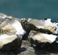 Jim Wilds Oyster Service - Accommodation Noosa