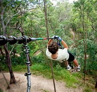 TreeTop Challenge - Accommodation Noosa