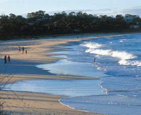 Mollymook Beach - Accommodation Noosa 1