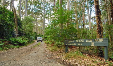 Depot Beach Rainforest Walk - Accommodation Noosa 1