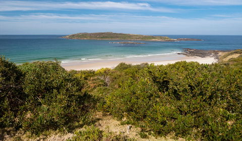 Murramarang Aboriginal Area - Accommodation Noosa 0