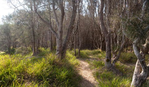 Murramarang Aboriginal Area Walking Track - Accommodation Noosa 1