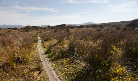 Murramarang Aboriginal Area Walking Track - Accommodation Noosa 2