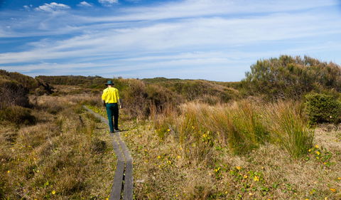 Murramarang Aboriginal Area Walking Track - Accommodation Noosa 3