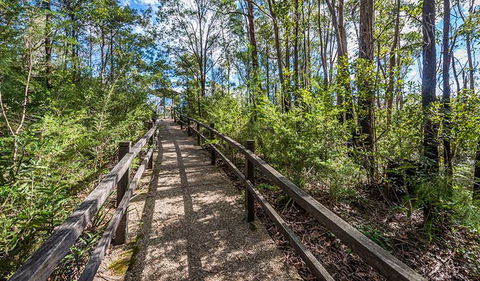 Flat Rock Lookout - Accommodation Noosa 2