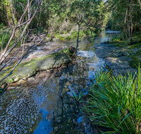 Dawson River walking track - Accommodation Noosa
