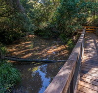Ms Kellys walking track - Accommodation Noosa