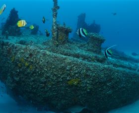 Curtain Artificial Reef Dive Site - Accommodation Noosa 1