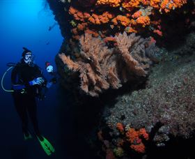Gotham City Dive Site - Accommodation Noosa 0