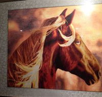 Silk Art Gallery - Accommodation Noosa