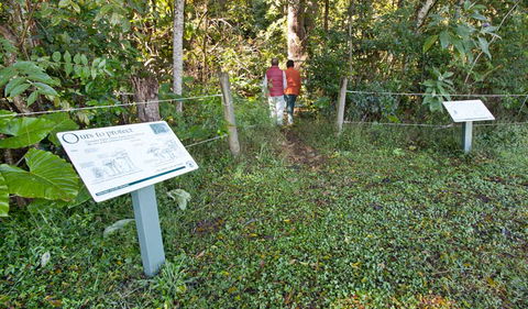 Coramba Nature Reserve - Accommodation Noosa 0