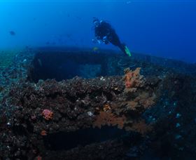 Cementco Dive Site - Accommodation Noosa 3
