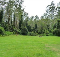 Kerewong State Forest - Accommodation Noosa