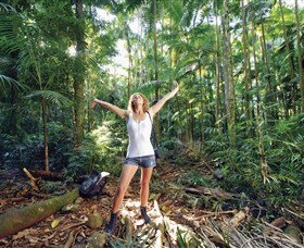 Victoria Park Nature Reserve - Accommodation Noosa 0