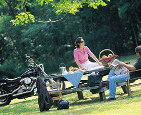 Victoria Park Nature Reserve - Accommodation Noosa 2